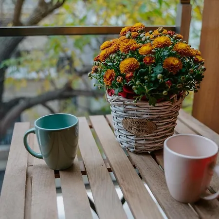 Bella's Sea Apartment-beach, Sea Garden ,old Town, Free Parking, Free Evcharging Station * Варна